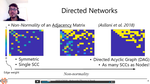 Hierarchical Route to Emergence of Leader Nodes - CCS2020